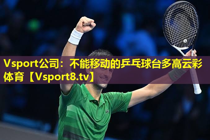 Vsport公司：不能移动的乒乓球台多高云彩体育