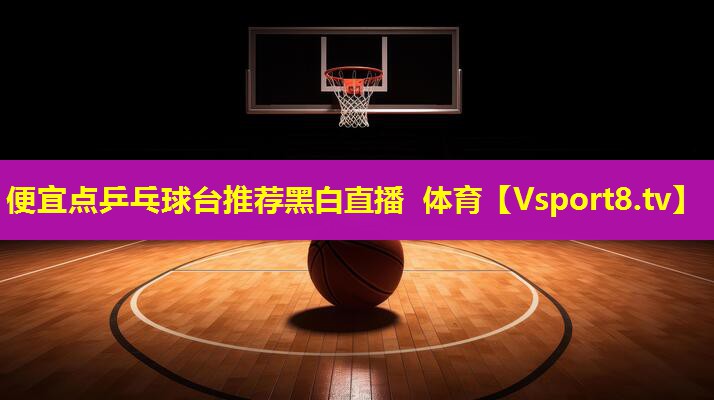 便宜点乒乓球台推荐黑白直播 体育