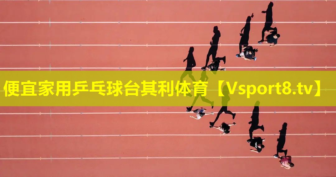 便宜家用乒乓球台其利体育
