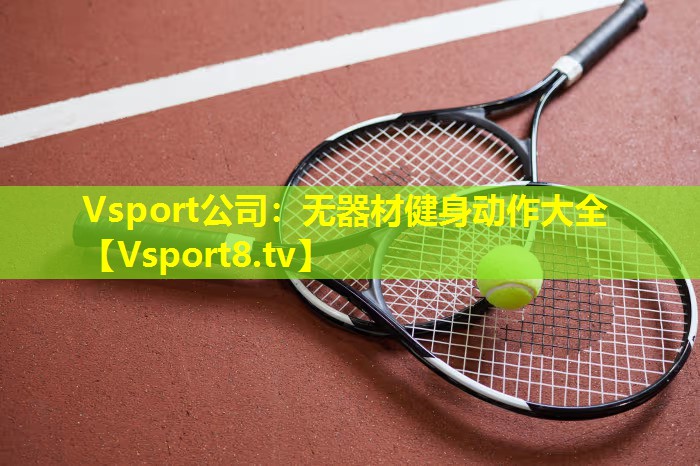 Vsport公司：无器材健身动作大全