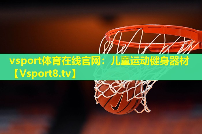 vsport体育在线官网：儿童运动健身器材