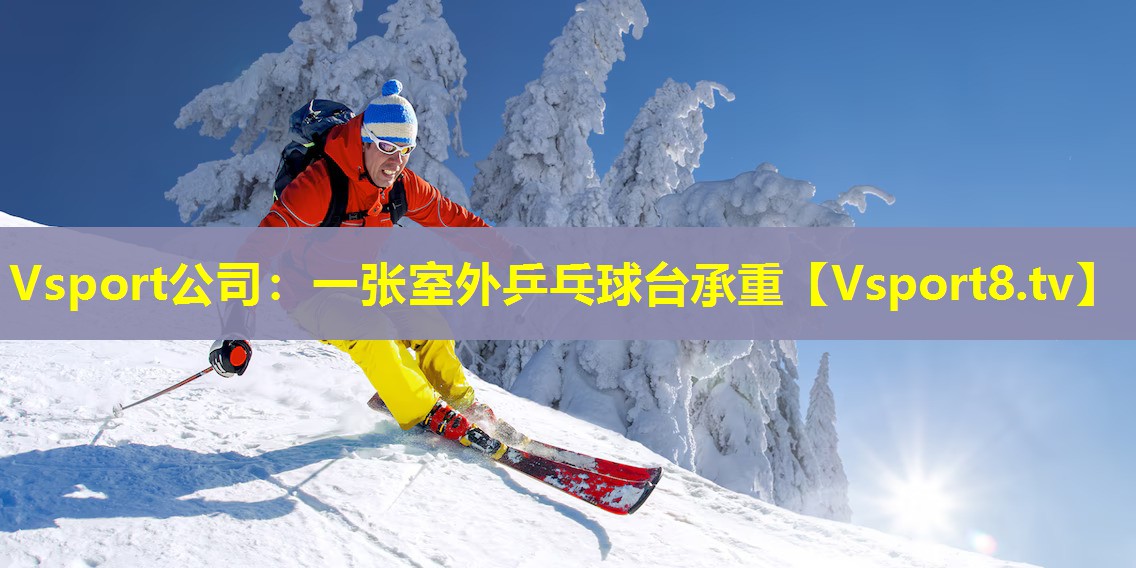 Vsport公司：一张室外乒乓球台承重