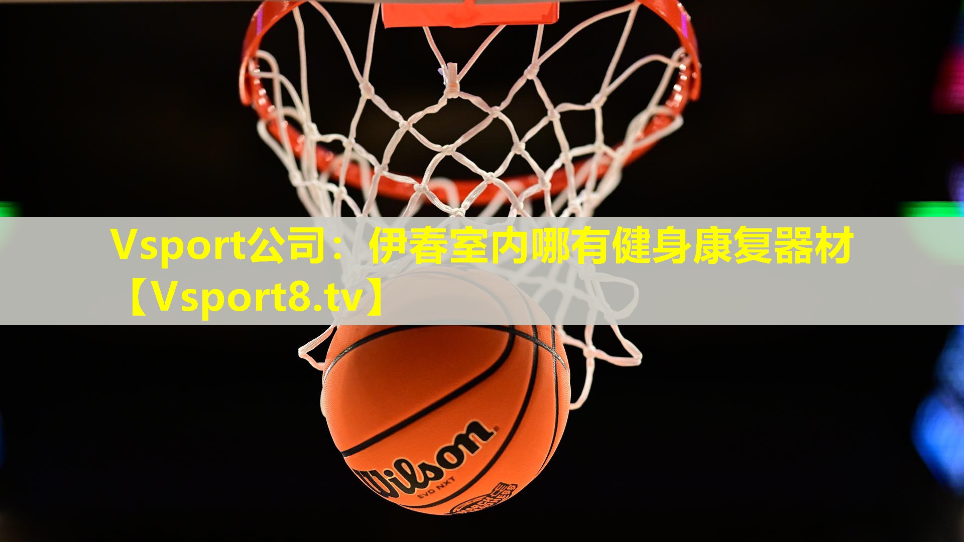 Vsport公司：伊春室内哪有健身康复器材