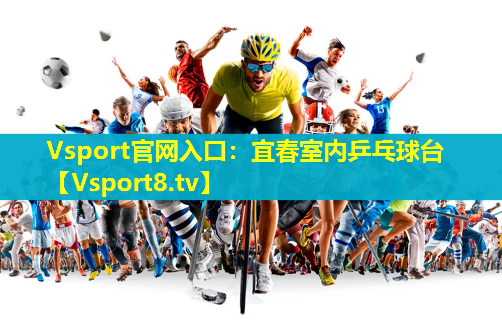 Vsport官网入口：宜春室内乒乓球台