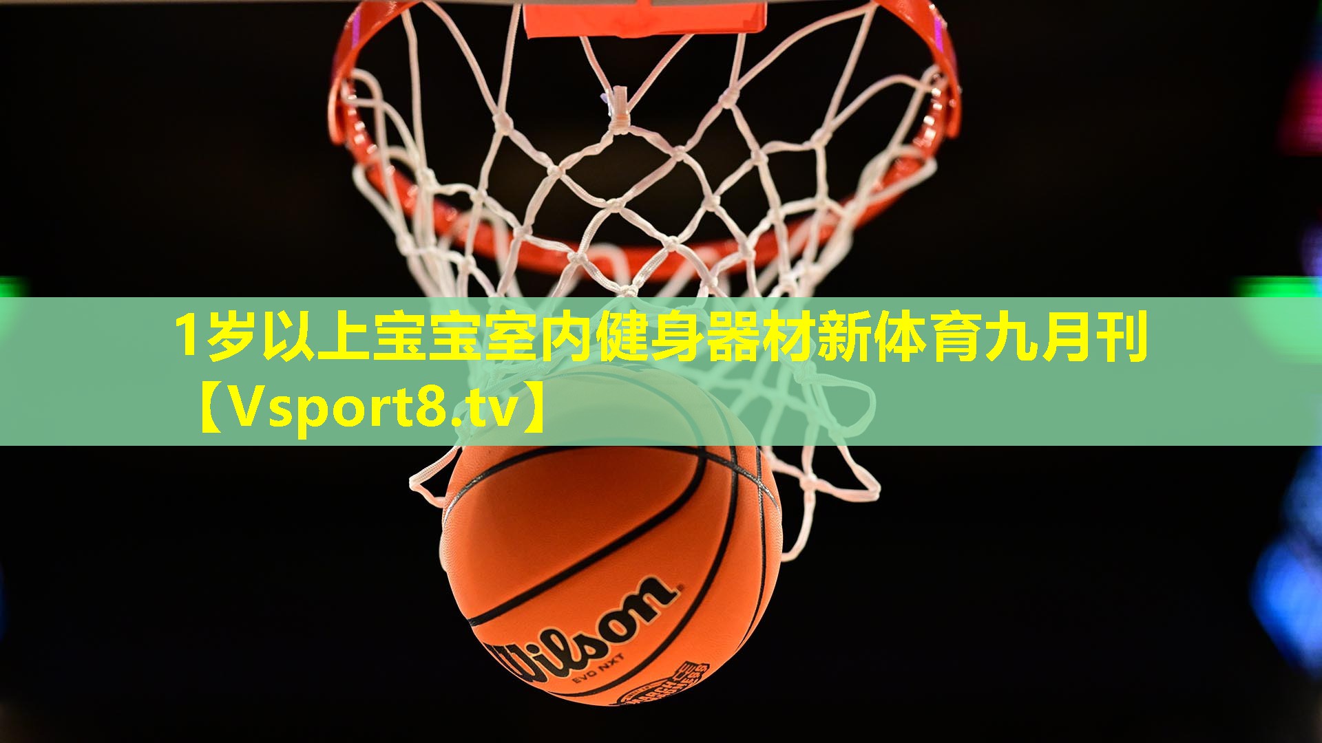 1岁以上宝宝室内健身器材新体育九月刊