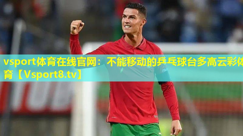vsport体育在线官网：不能移动的乒乓球台多高云彩体育