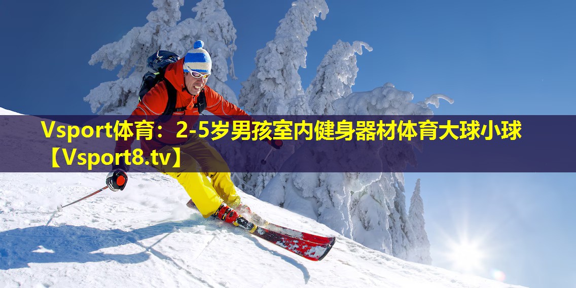 Vsport体育：2-5岁男孩室内健身器材体育大球小球