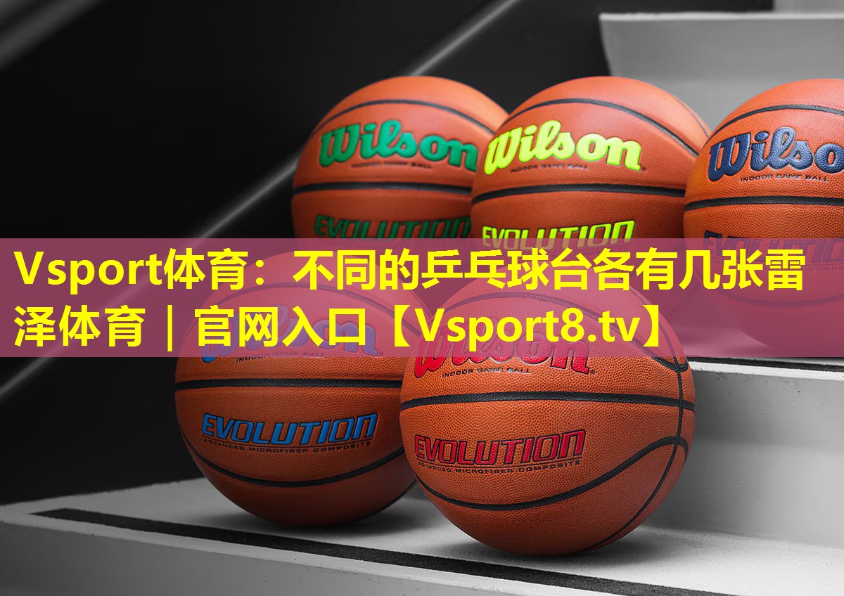 Vsport体育：不同的乒乓球台各有几张雷泽体育｜官网入口