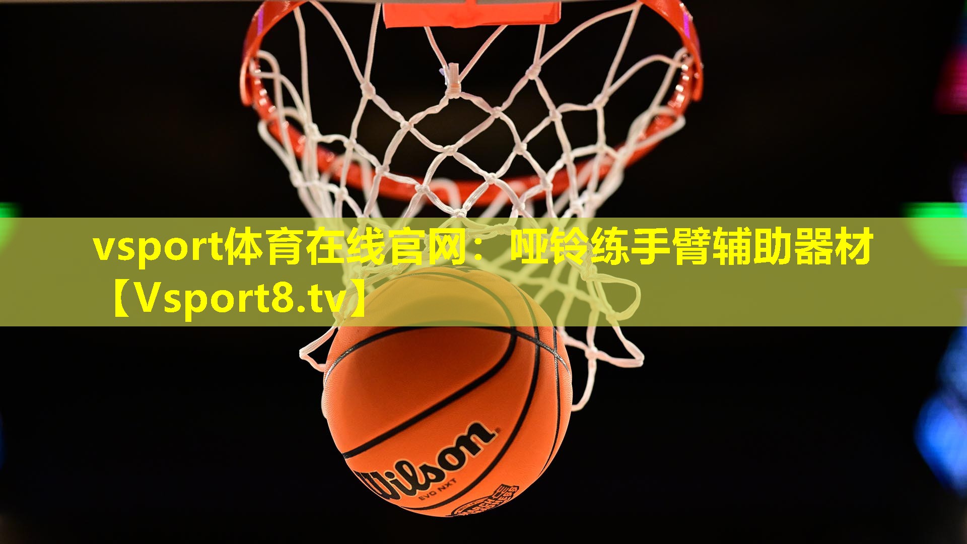 vsport体育在线官网：哑铃练手臂辅助器材