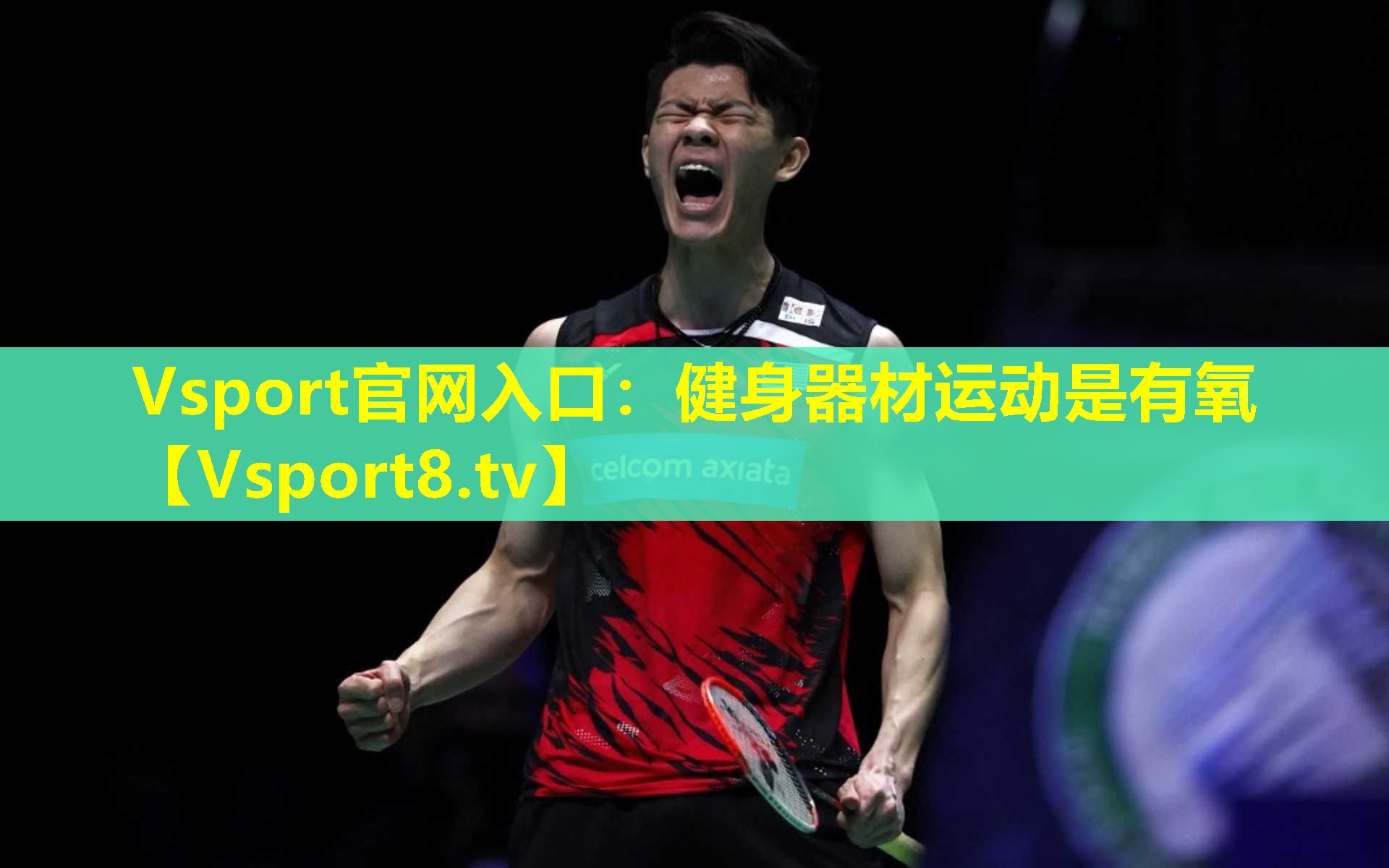 Vsport官网入口：健身器材运动是有氧