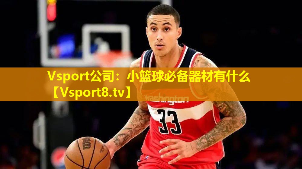 Vsport公司：小篮球必备器材有什么