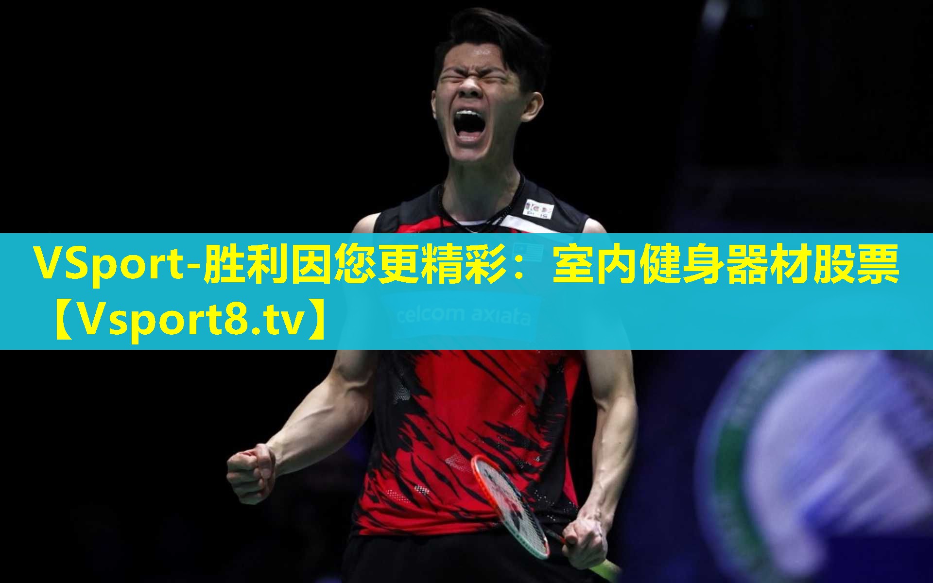 VSport-胜利因您更精彩：室内健身器材股票