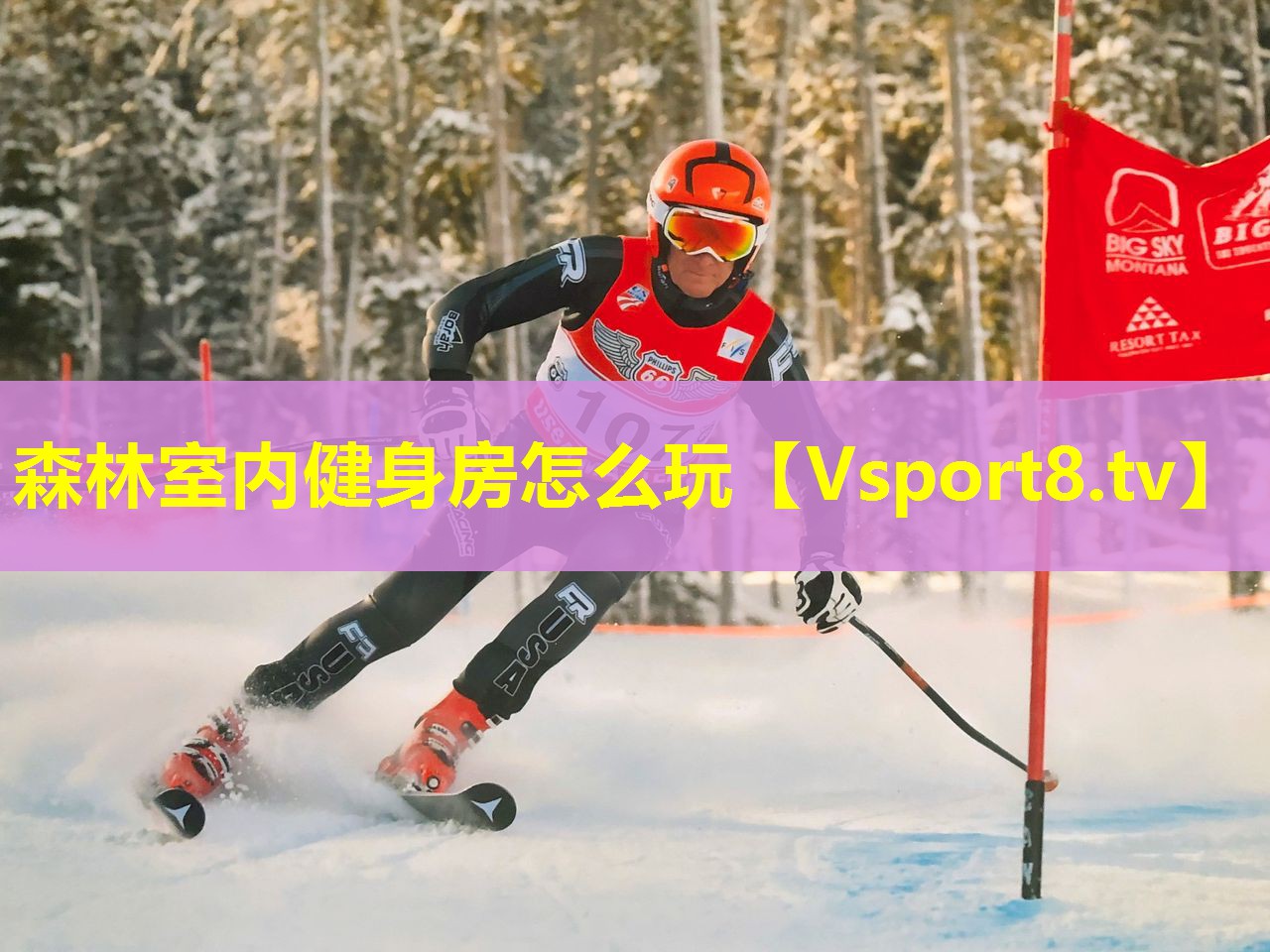 森林室内健身房怎么玩