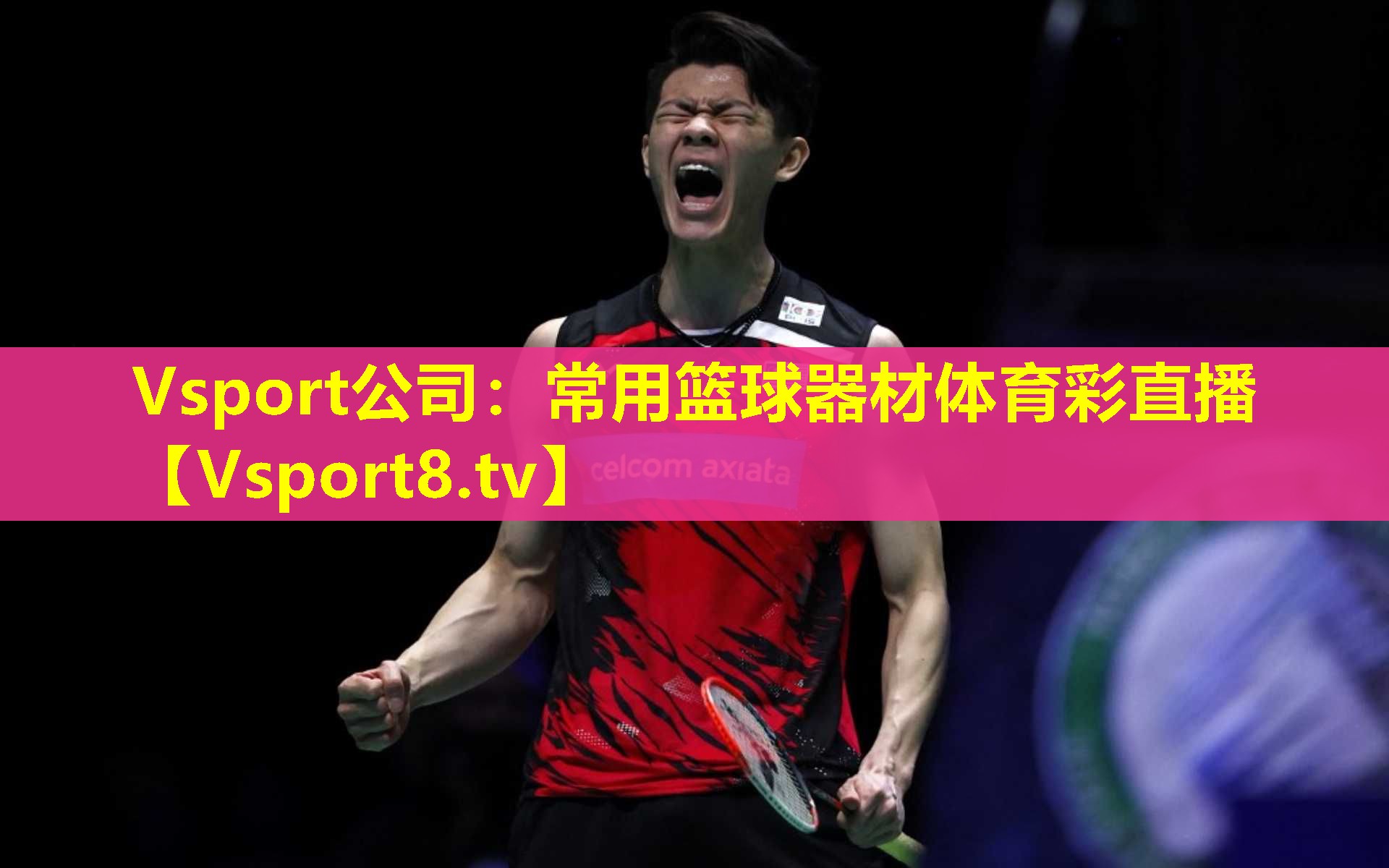 Vsport公司：常用篮球器材体育彩直播