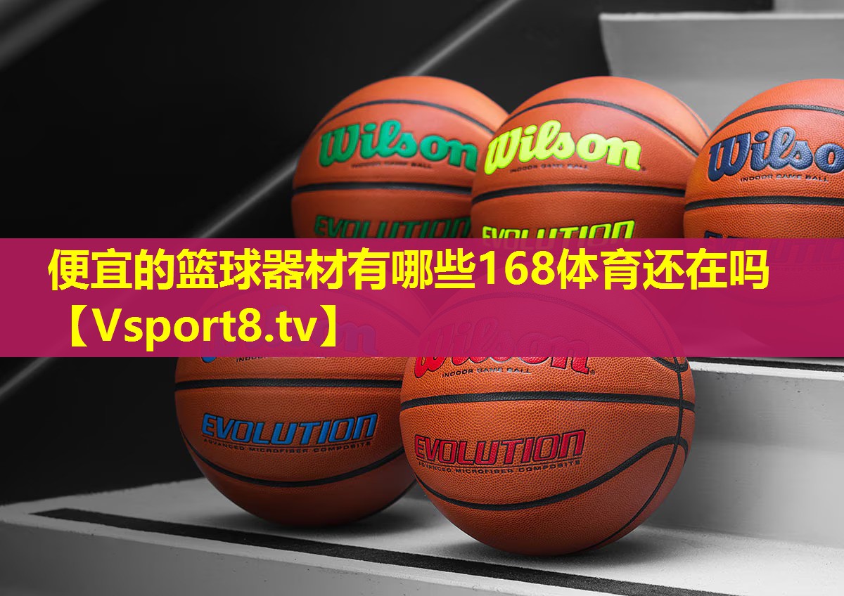 便宜的篮球器材有哪些168体育还在吗