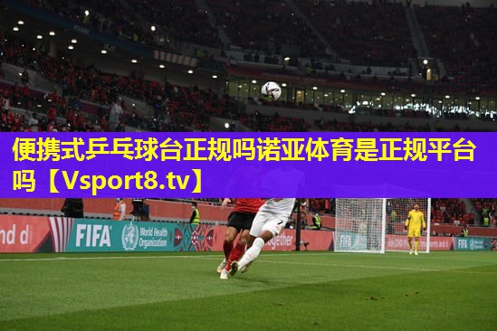 便携式乒乓球台正规吗诺亚体育是正规平台吗