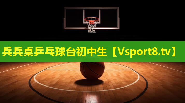 兵兵桌乒乓球台初中生