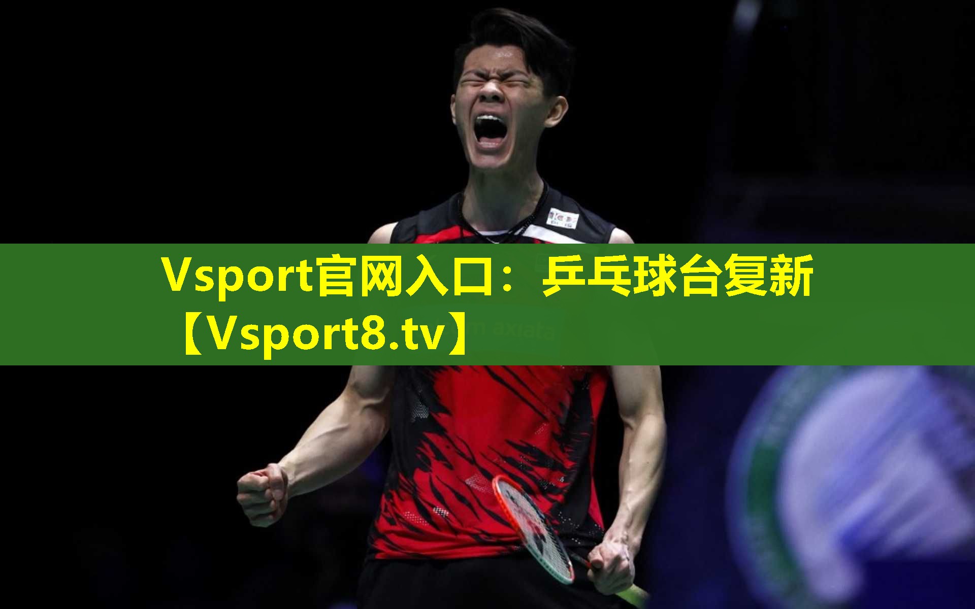 乒乓球台复新 乒乓球台复新