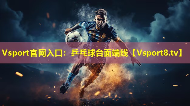 乒乓球台面端线 乒乓球台面端线