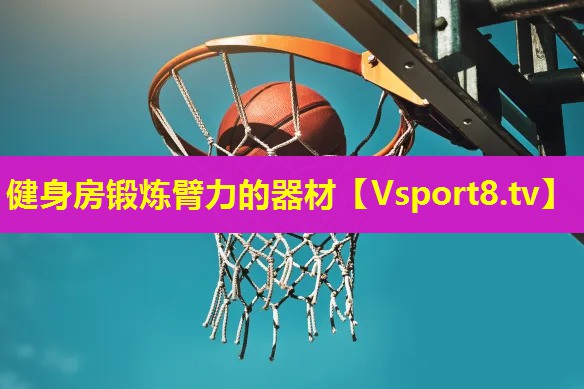 健身房锻炼臂力的器材