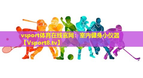 室内健身小仪器