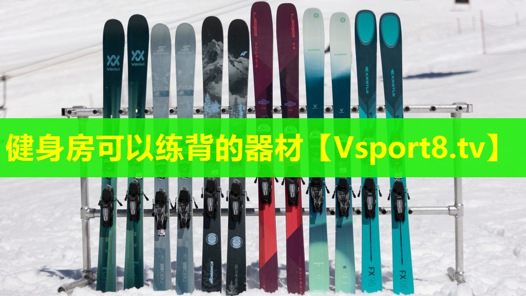 健身房可以练背的器材 健身房可以练背的器材
